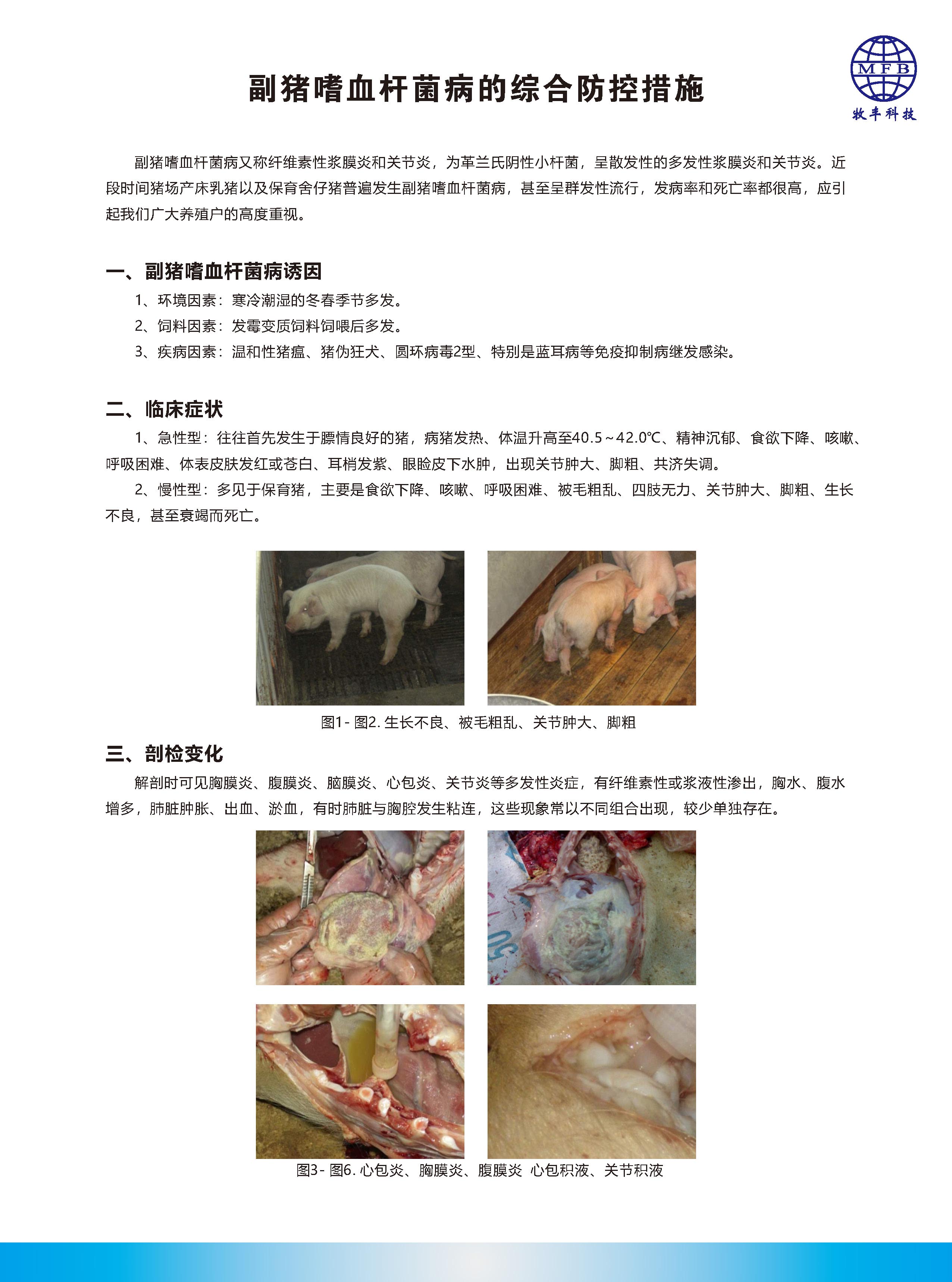 副猪嗜血杆菌病的综合防控措施_页面_1.jpg